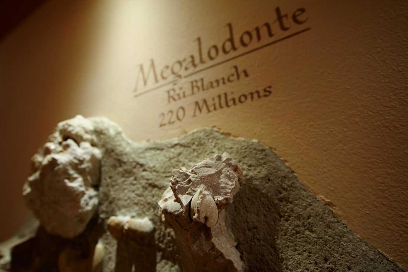 Lagacio Mountain Residence