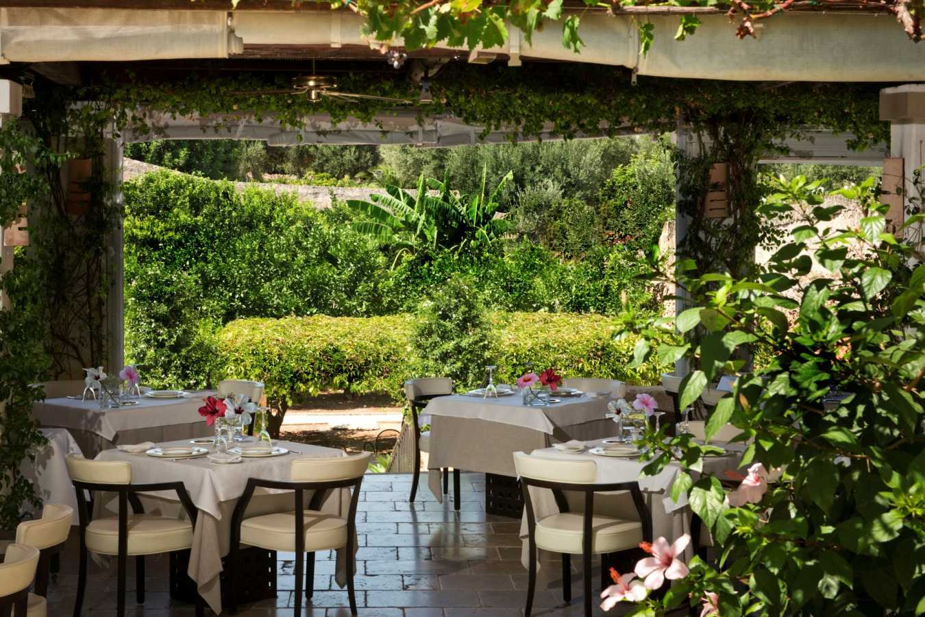 Restaurant Area