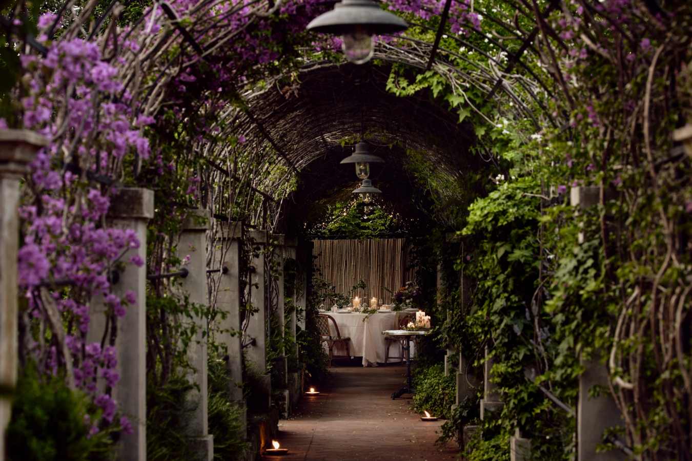Garden Dinner