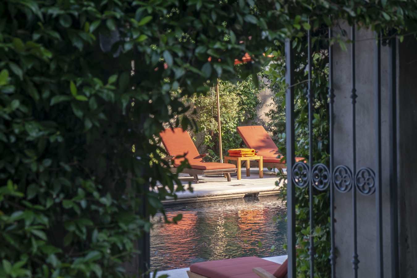 Garden Pool