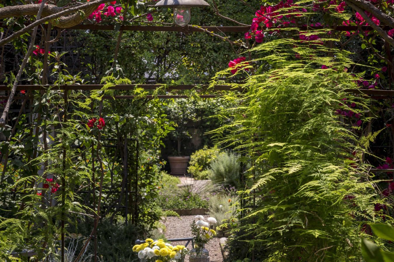 Organic Garden