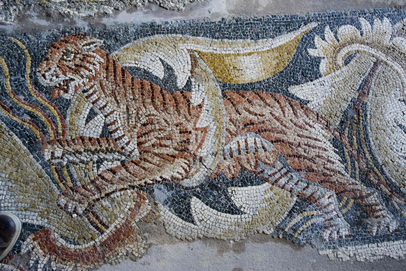 Villa Romana del Tellaro