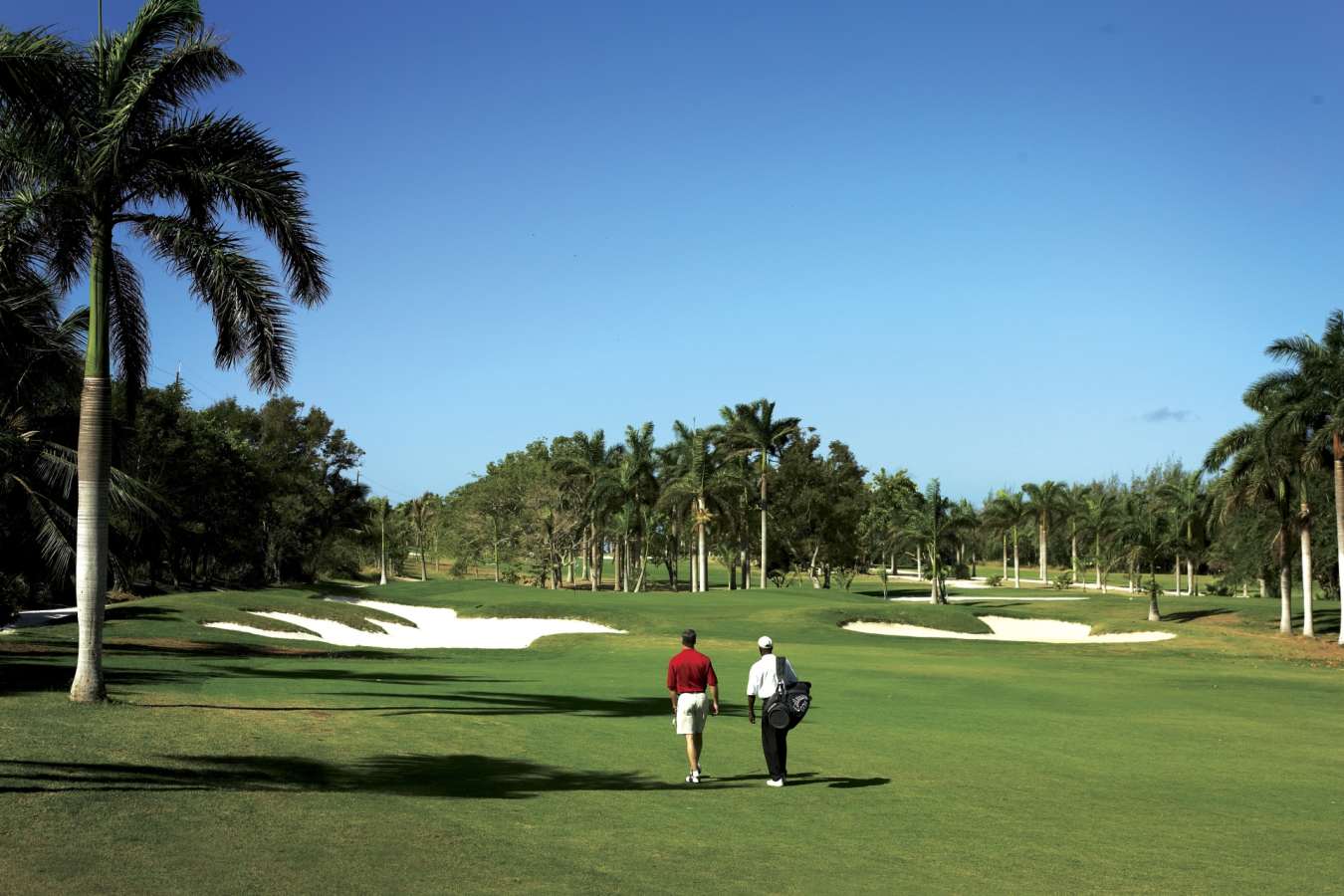 Golf Course - Half Moon