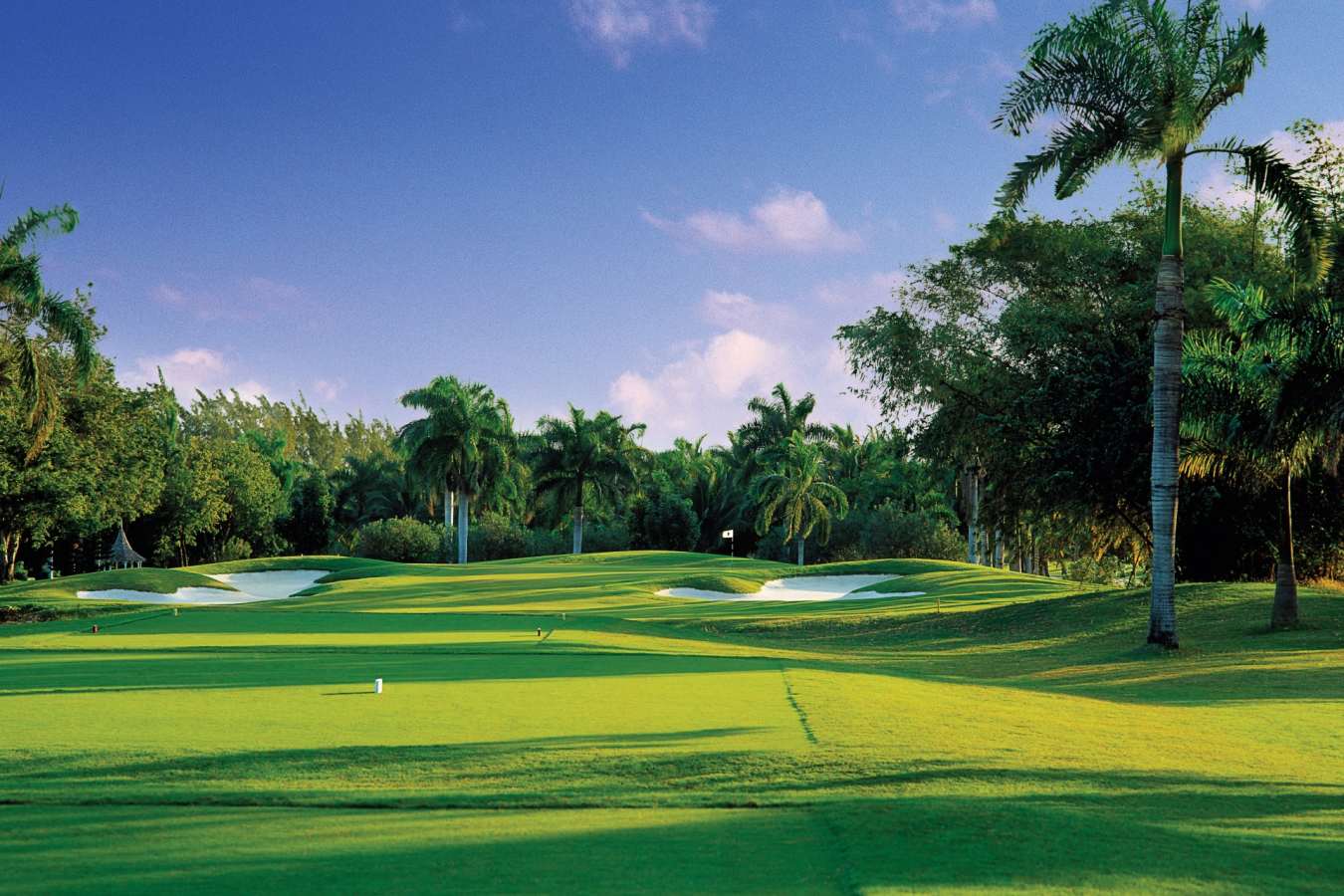 Golf Course - Half Moon