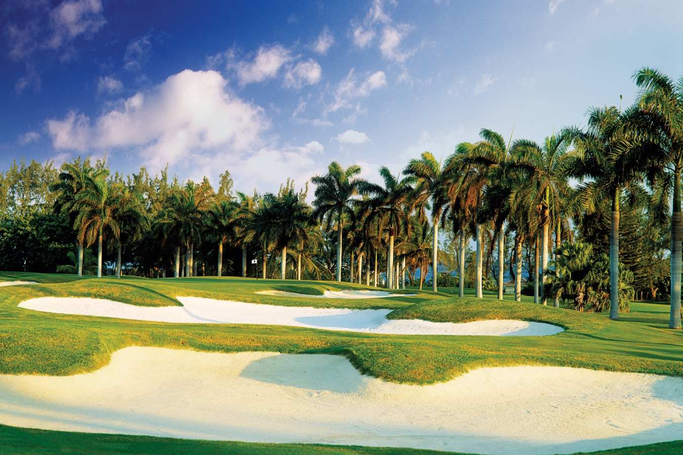 Golf Course - Half Moon