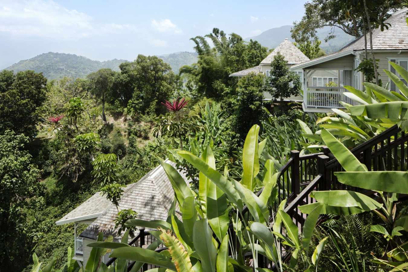 View - Strawberry Hill