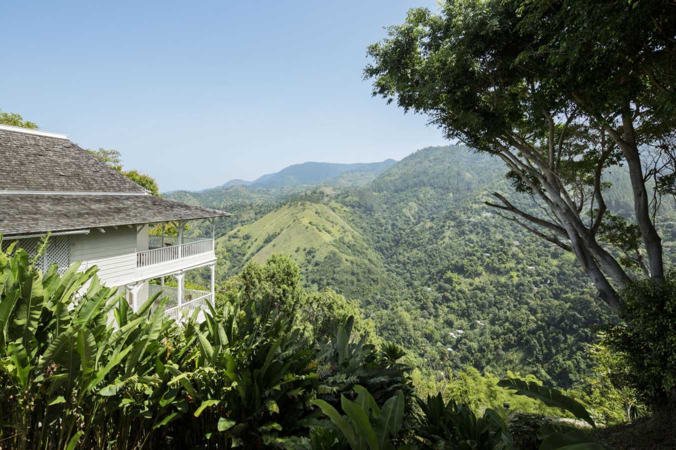 Mountain View - Strawberry Hill