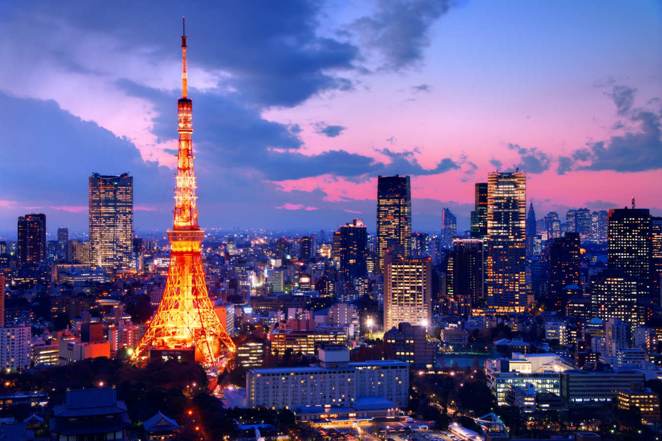 Tokyo Cityscape at Night