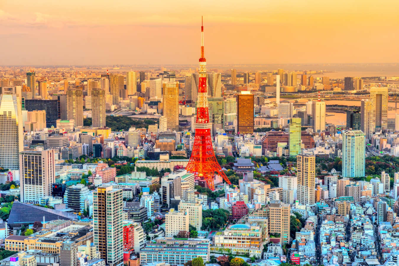 Tokyo Skyline
