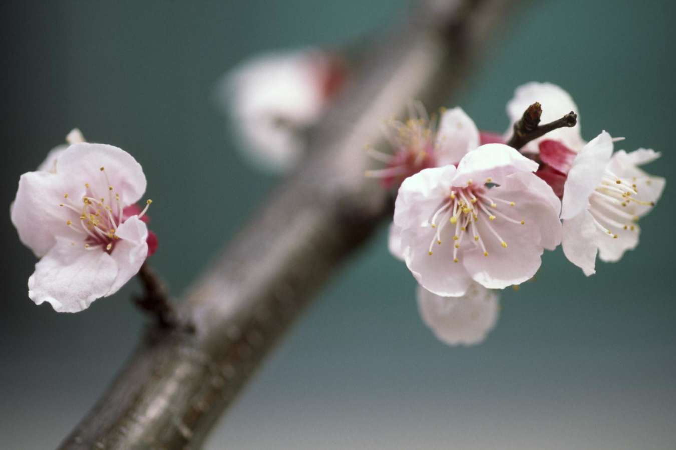 Discover Rest of Japan