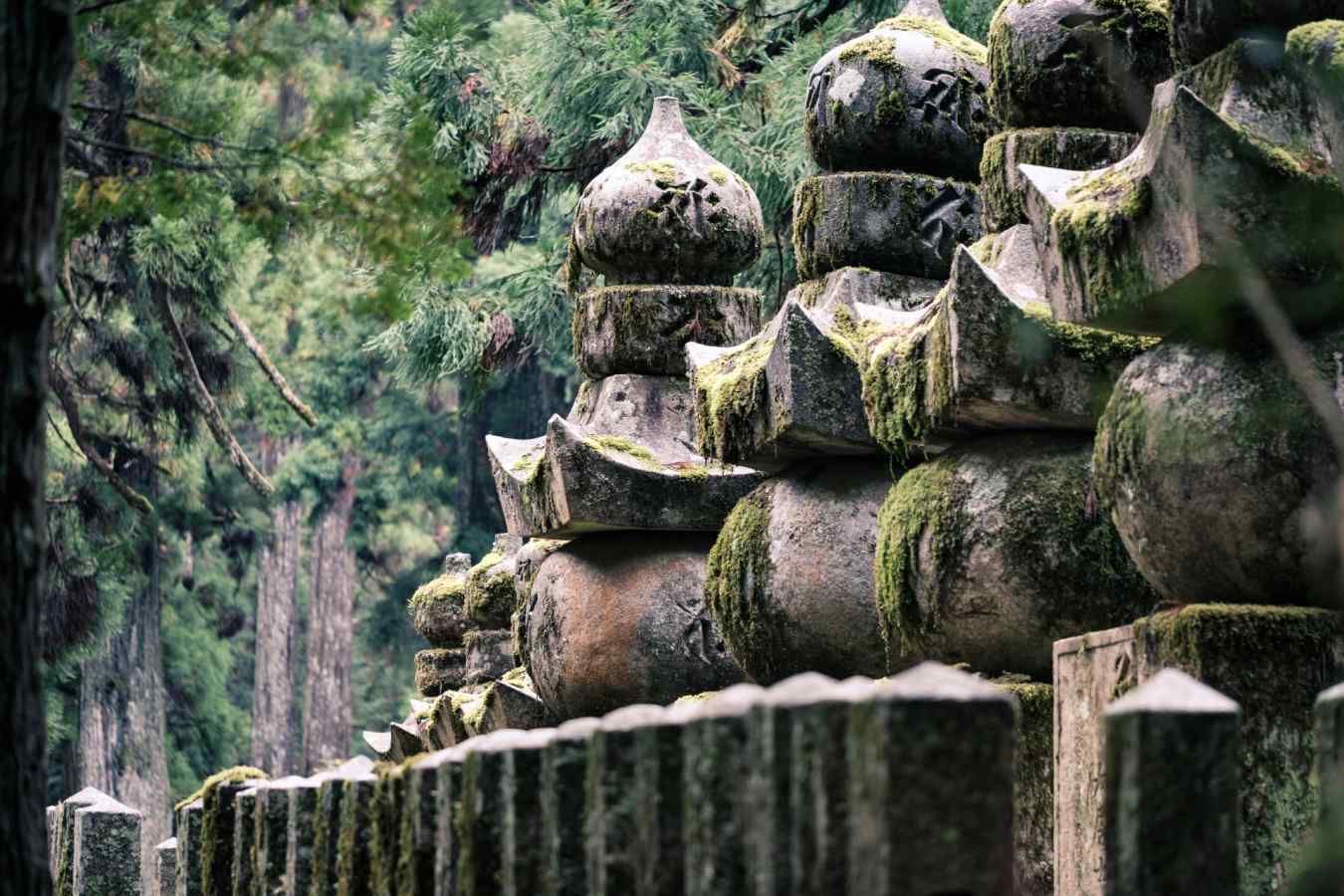 Mount Koya