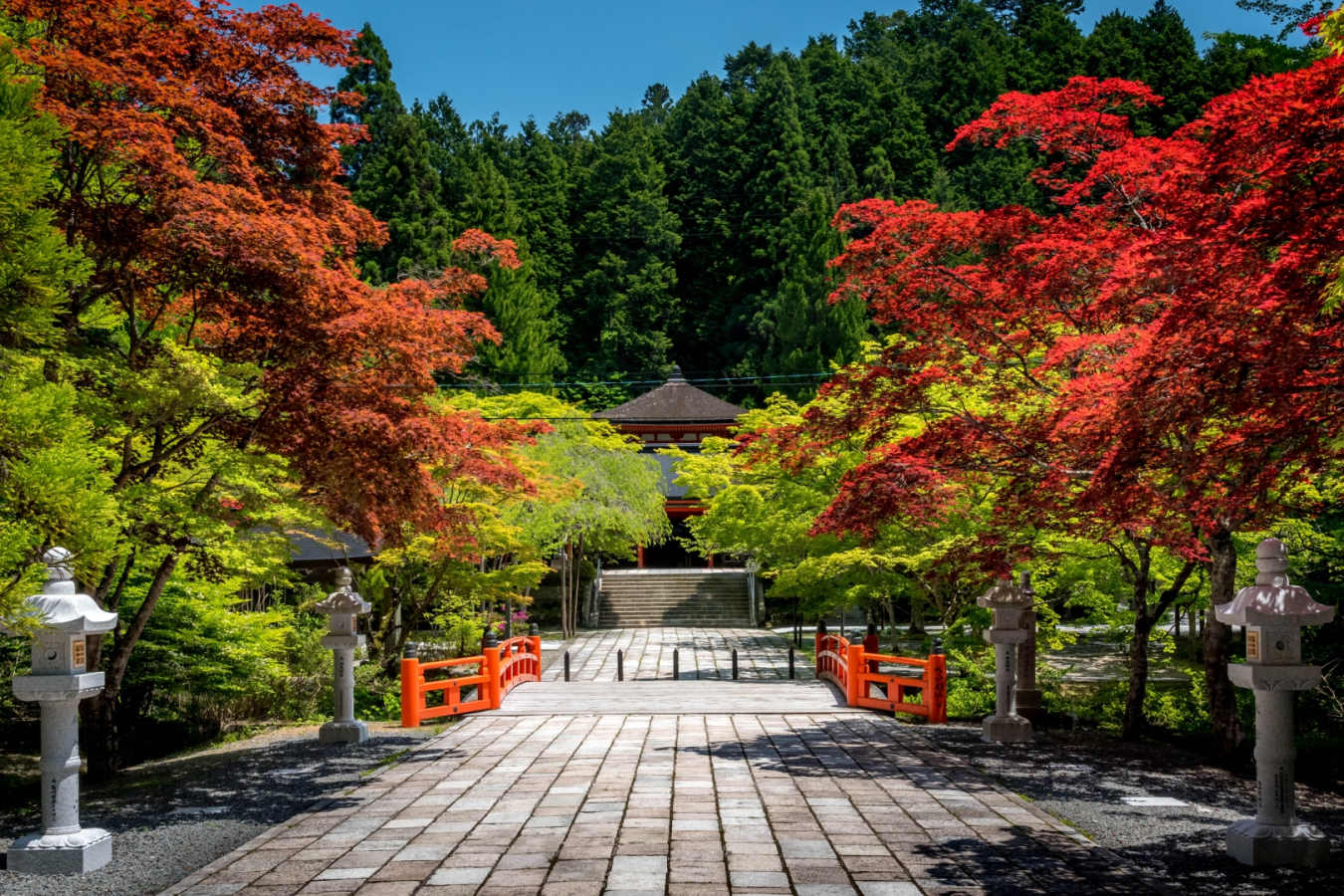 Mount Koya