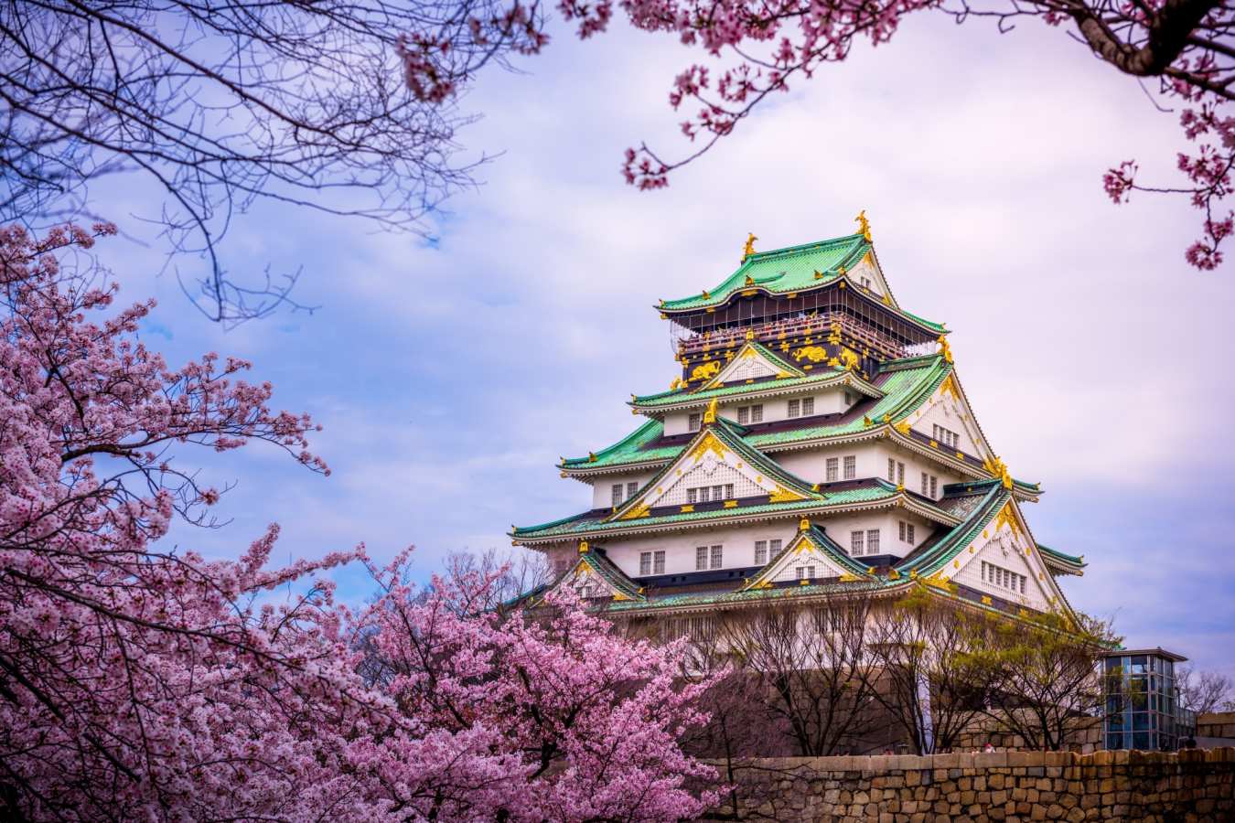 Osaka Castle in the Cherry Blossom Season