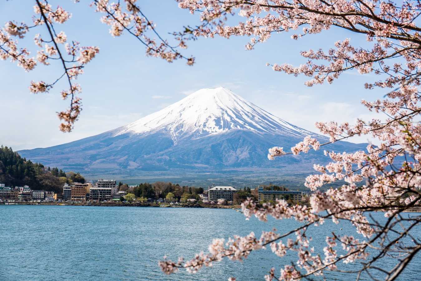 Fuji 
