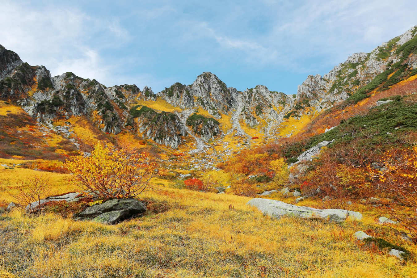 Autumn scenery