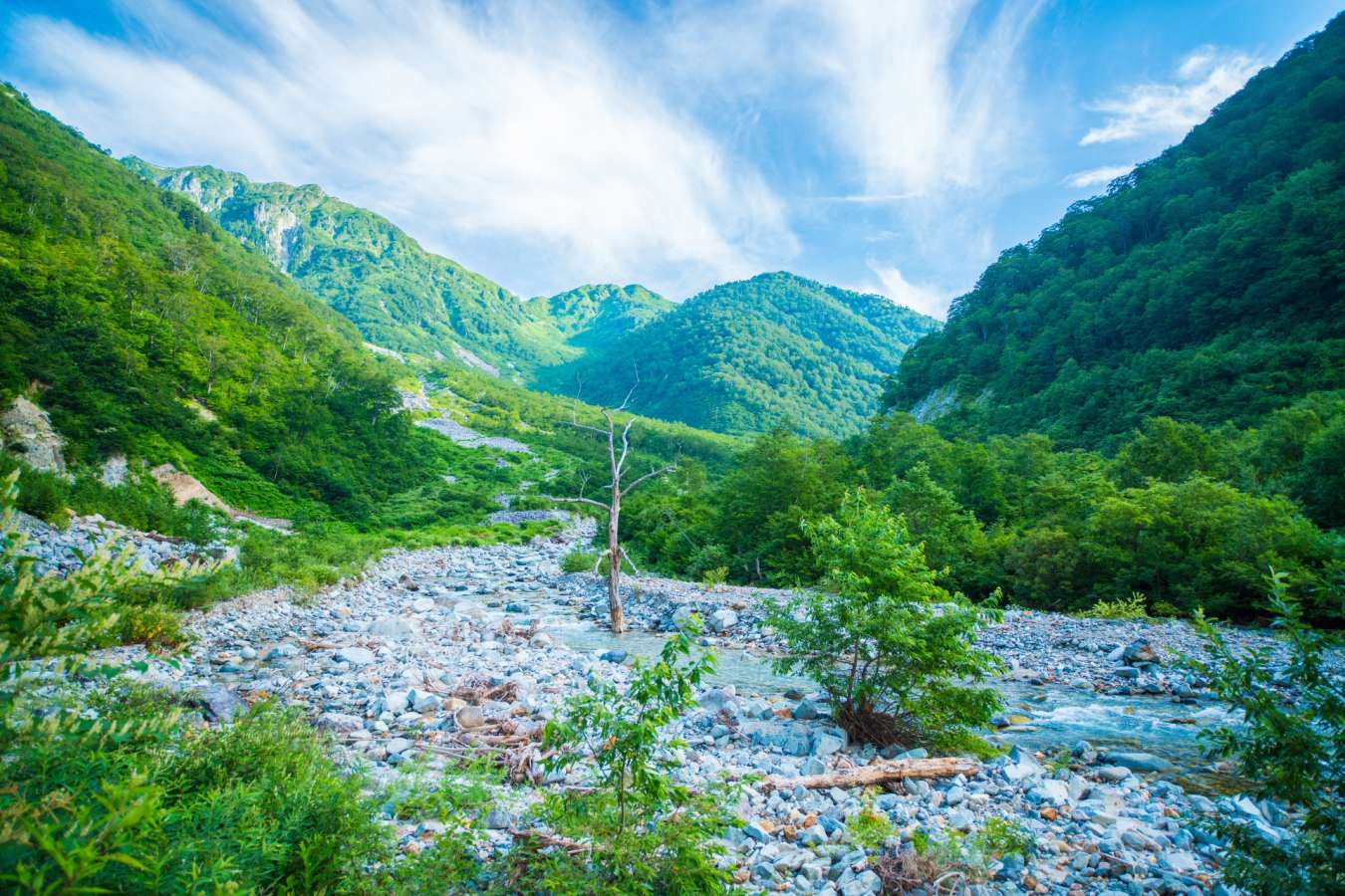Japanese Alps in Japan