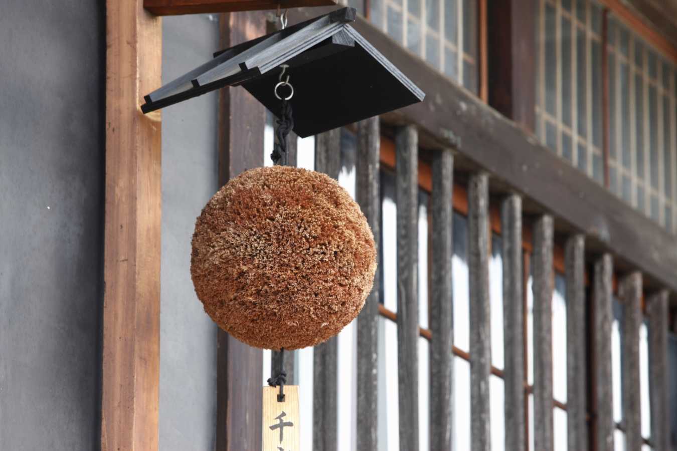 Cedar Leaves Balls Outiside of Sake Brewery