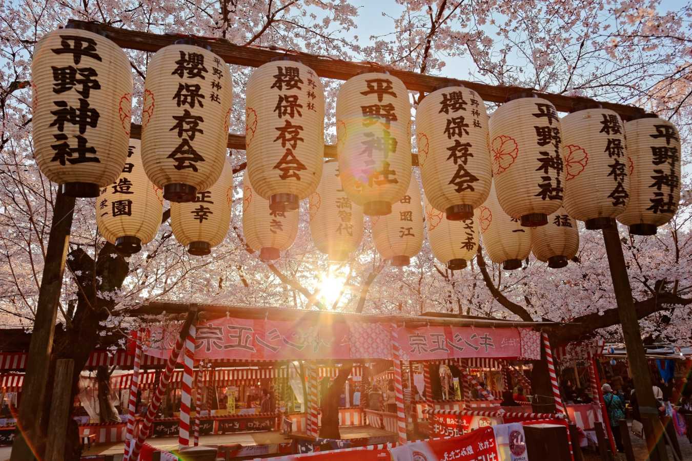 Cherry Blossom Festival (Sakura Matsuri), Kyoto