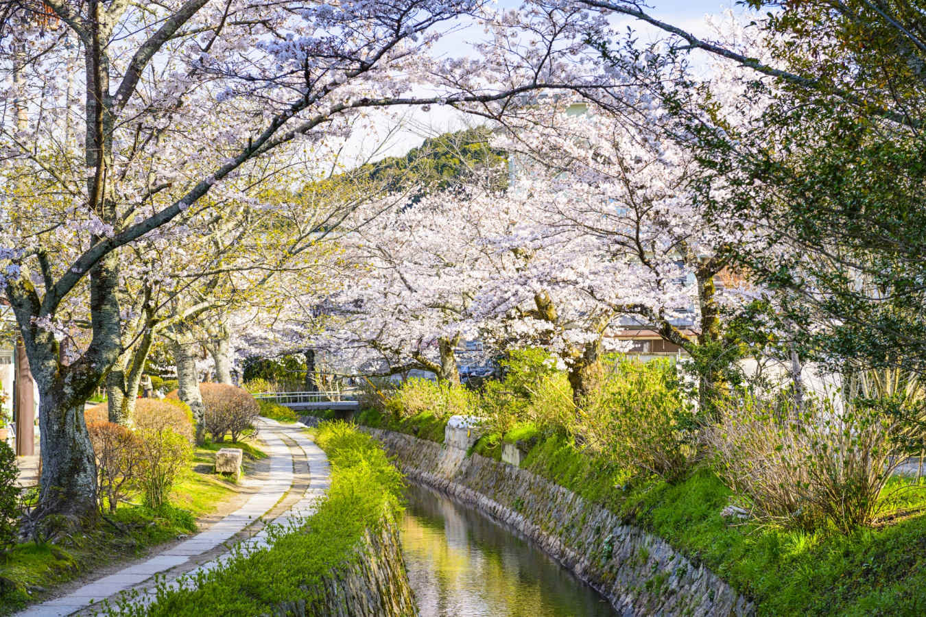 The Philosopher's Path, Kyoto