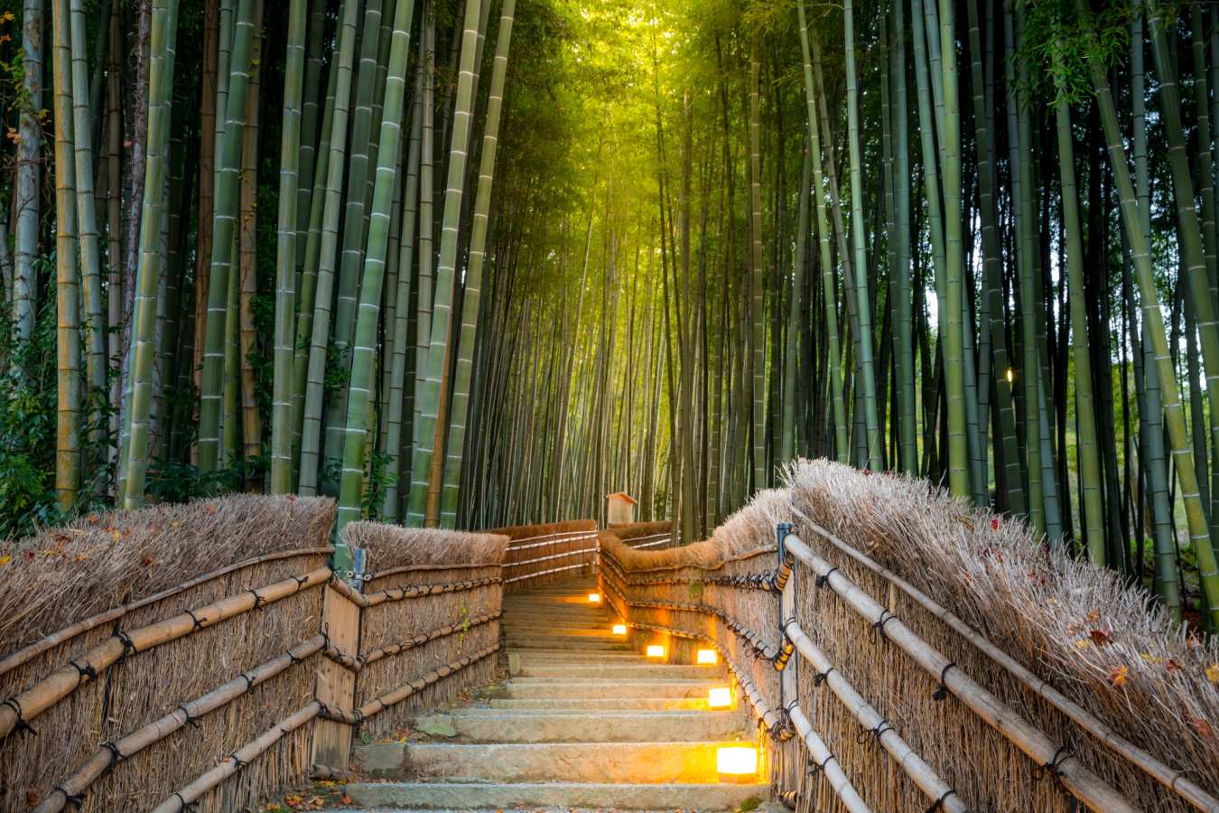 Kyoto - Authentic Japan