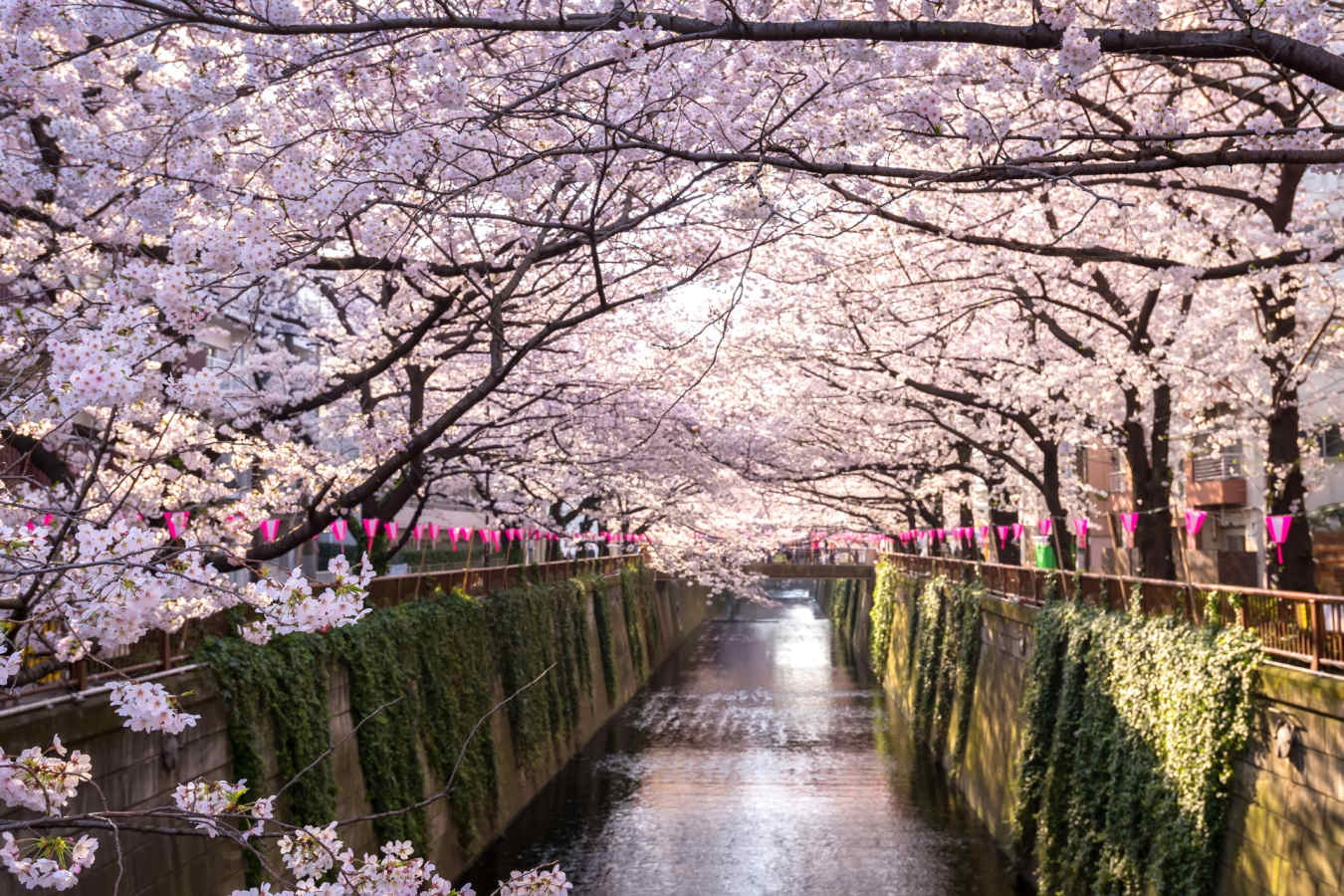 Tokyo - Authentic Japan