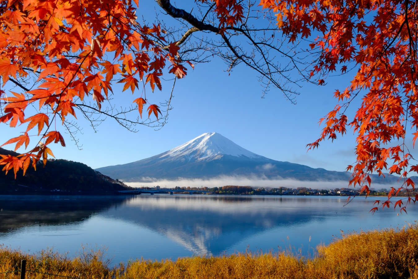 Mount Fuji 