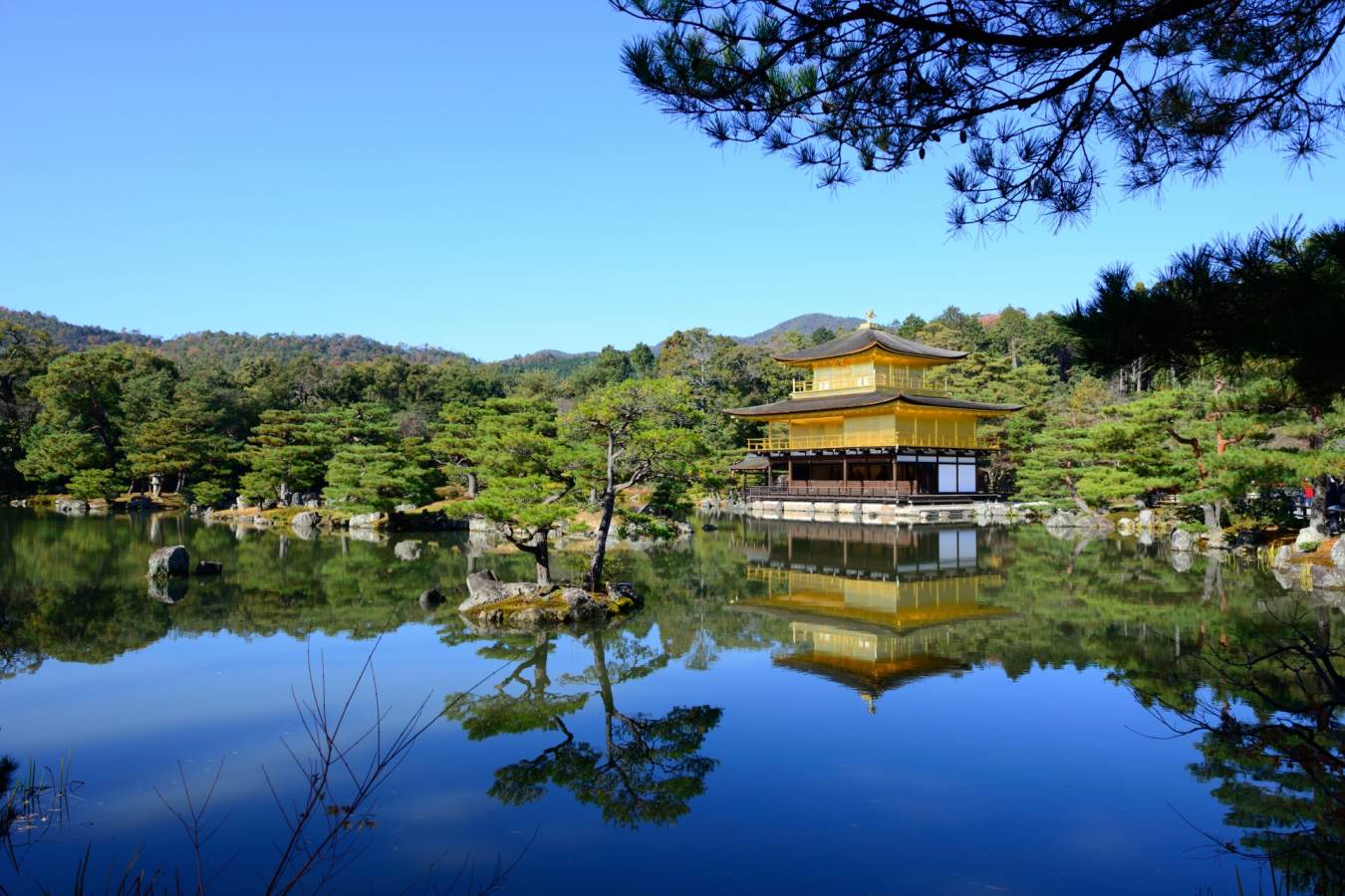 The Golden Pavillion