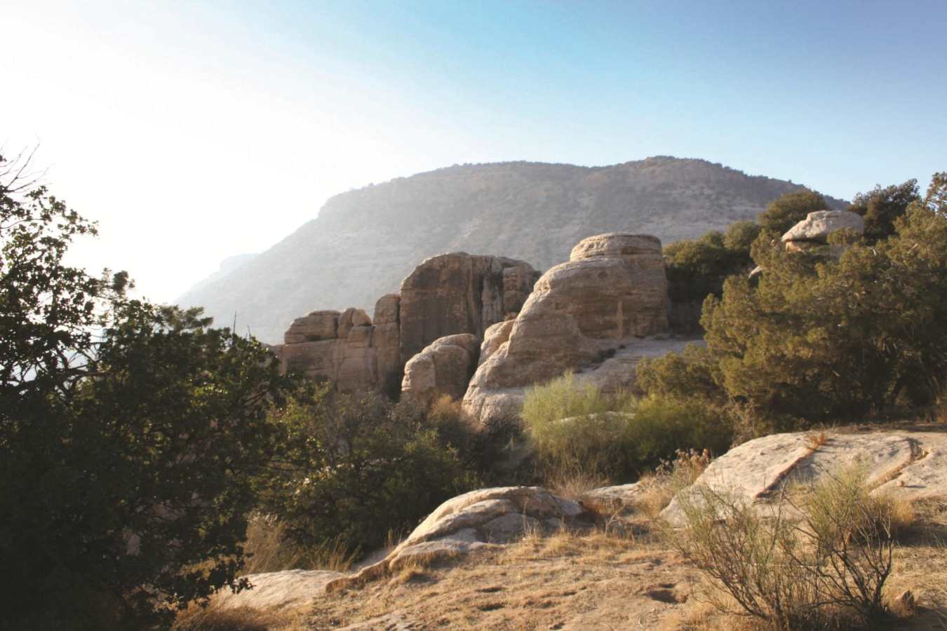 Dana Guesthouse - Discover Dana Nature Reserve