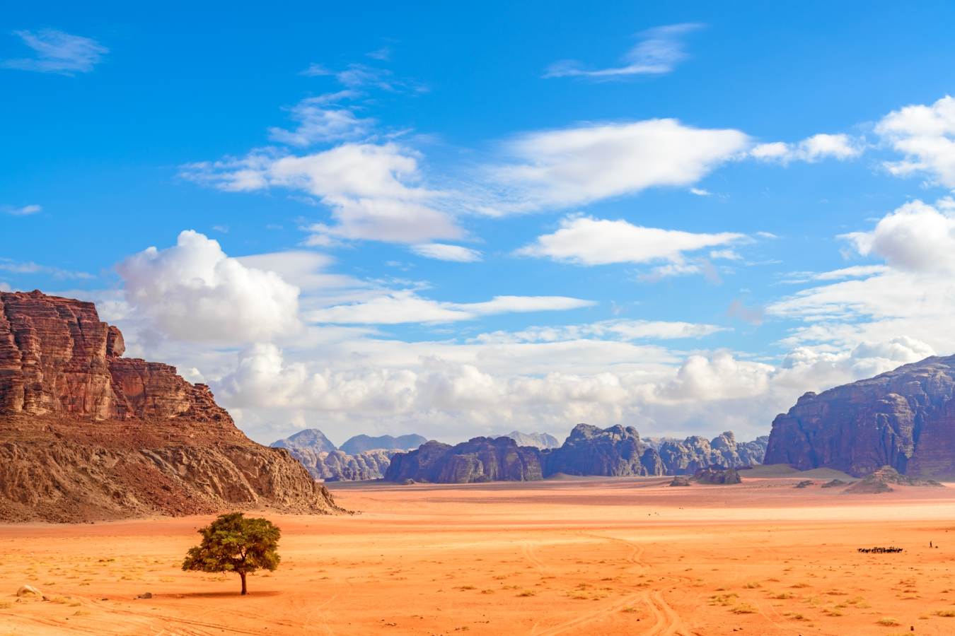 Wadi Rum - Active Jordan