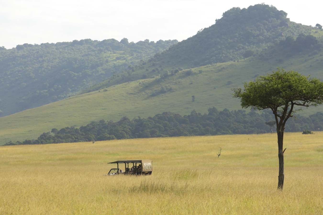 Game drive - Angama Mara