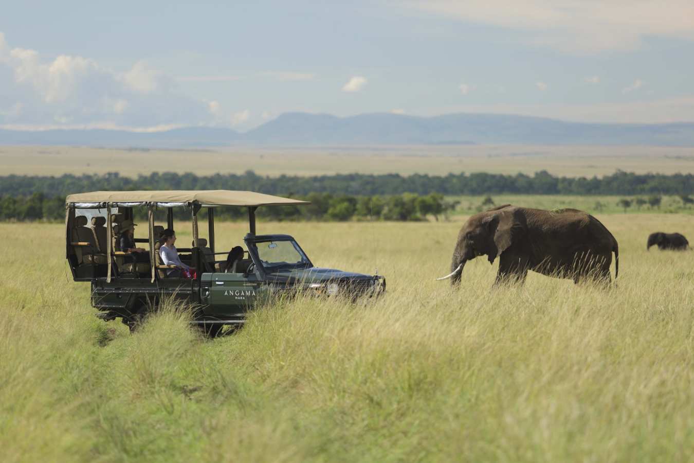 Game viewing - Angama Mara