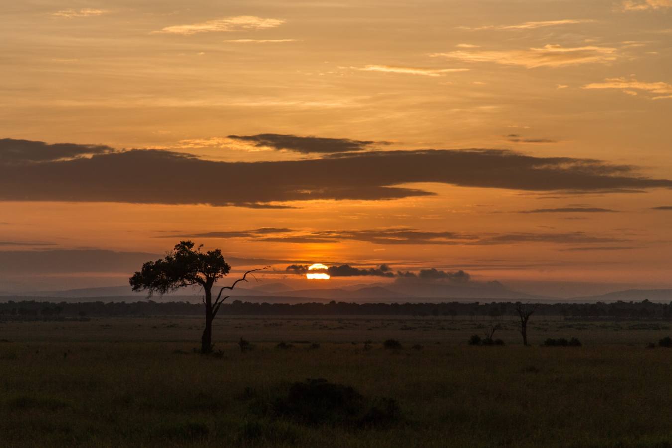 Sunrise - Angama Mara
