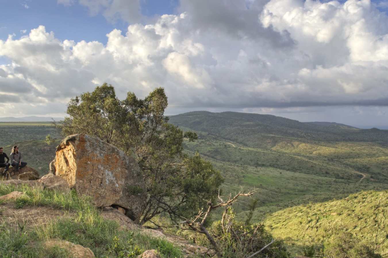 Views at Borana