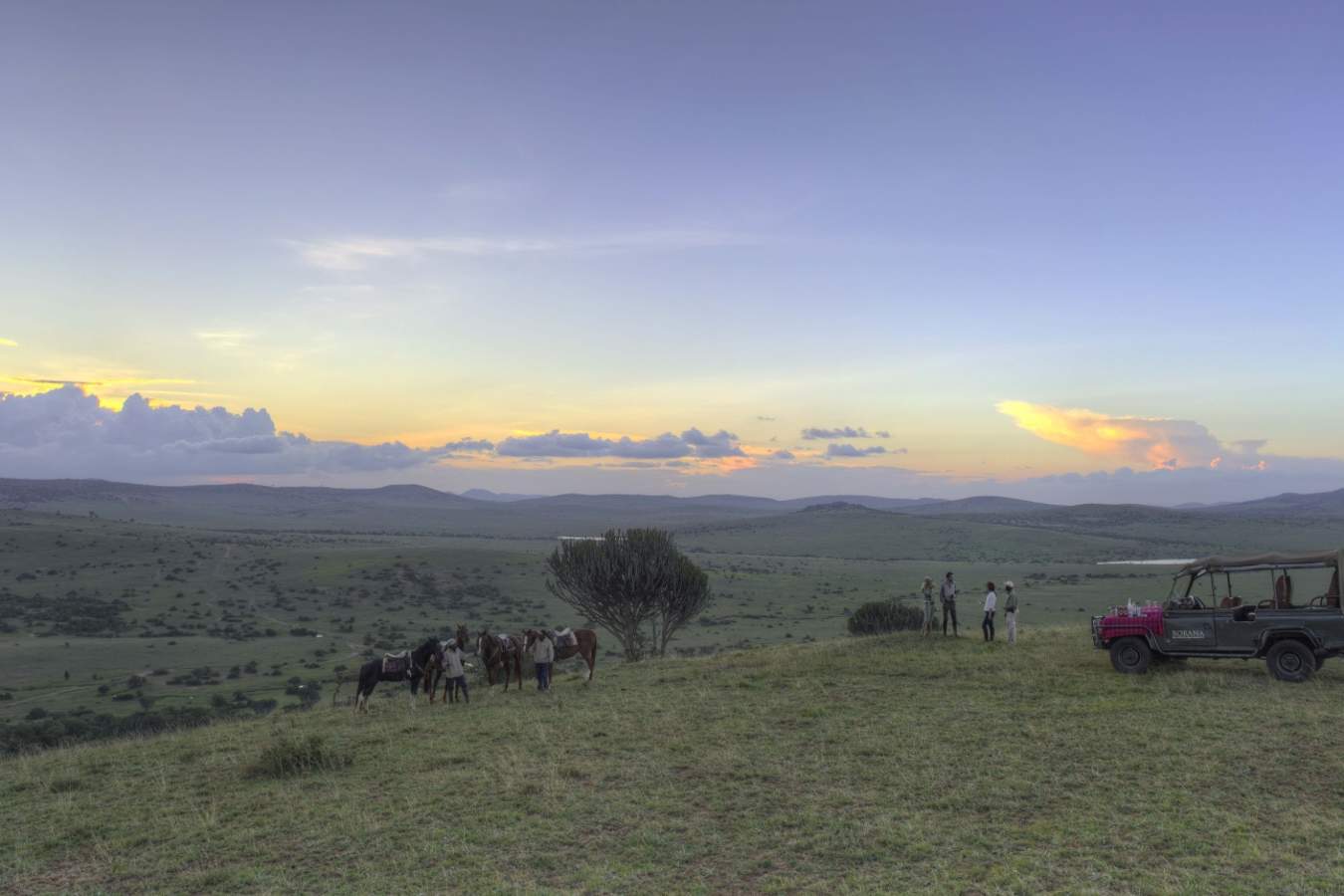 Game drive on Borana