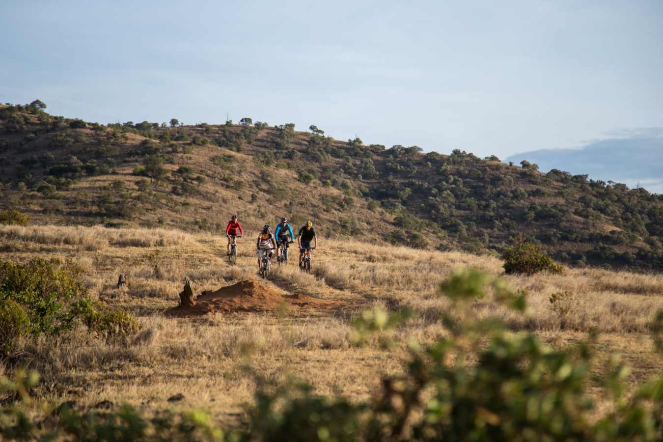 Mountain biking