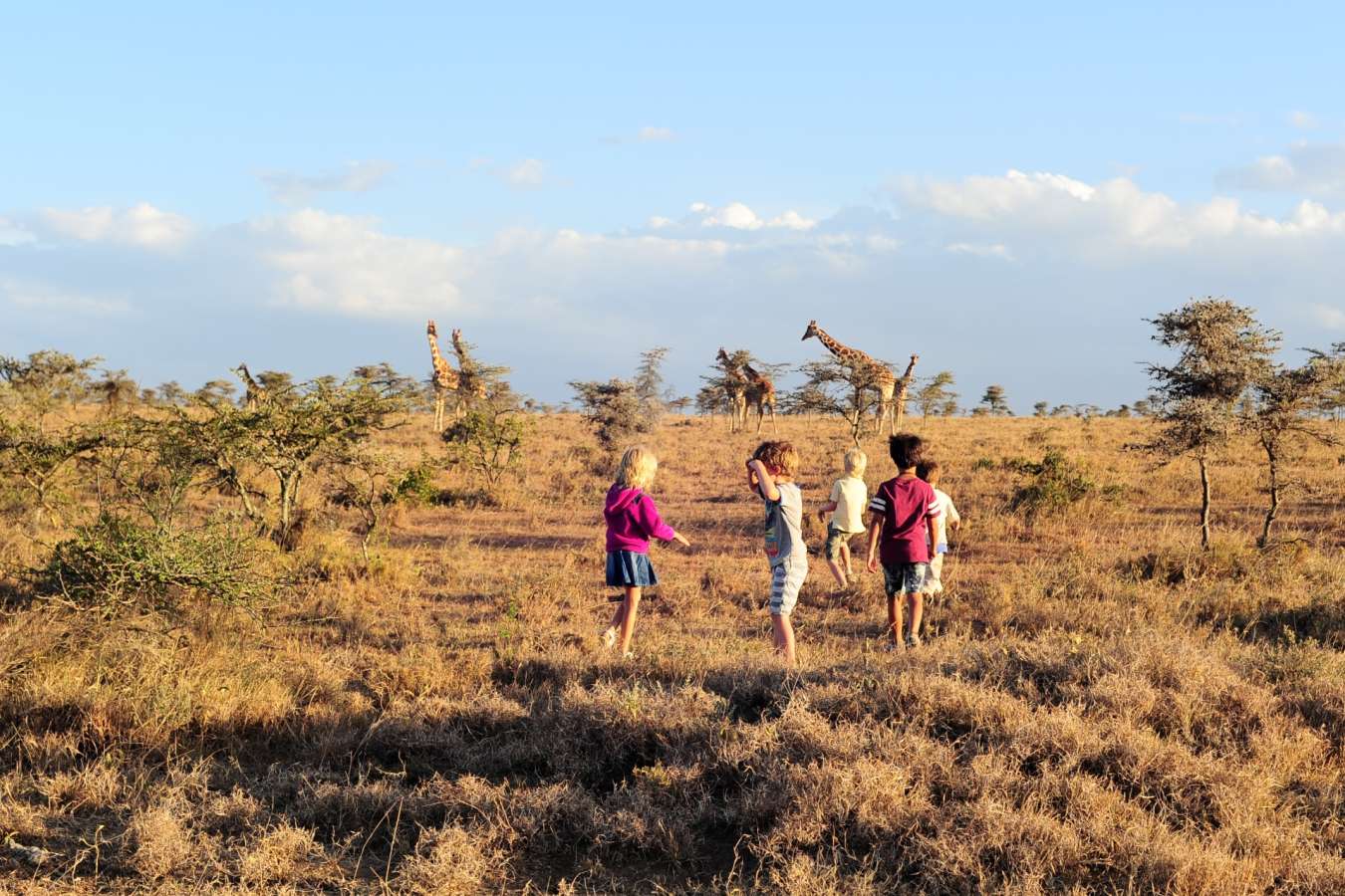 Kids playing in front of a herd of giraffe - El Karama Eco Lodge