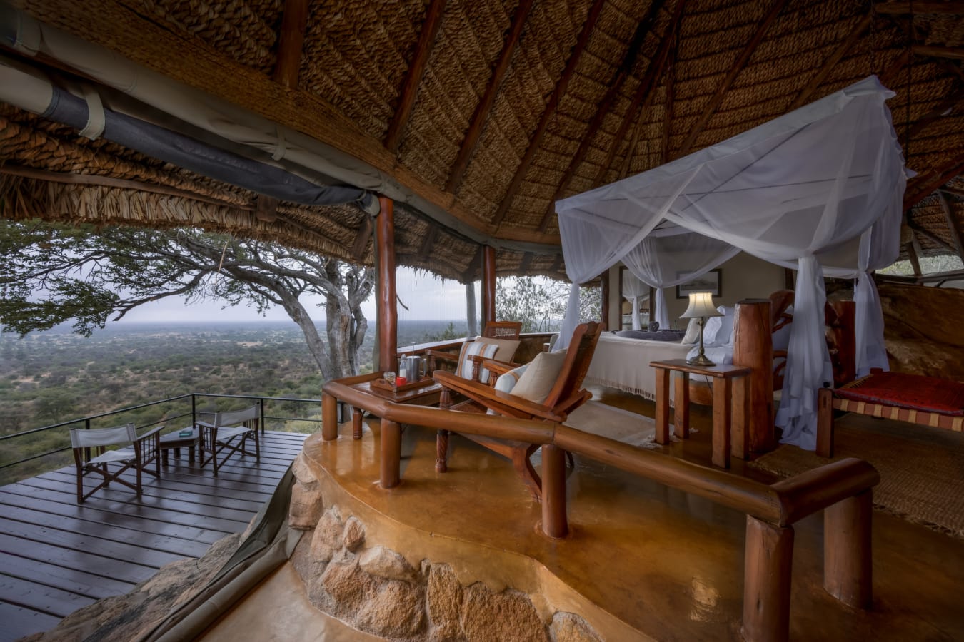 Safari Suite 
