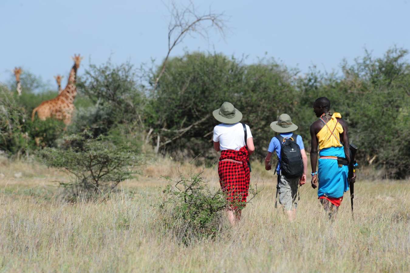 Get up close to giraffes - Karisia Walking Safaris