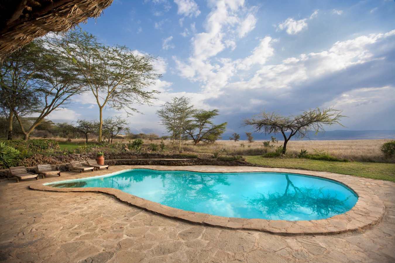 Swimming Pool - Lewa House