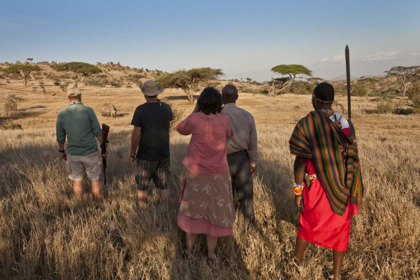 Walking Safari and White Rhino - Lewa House