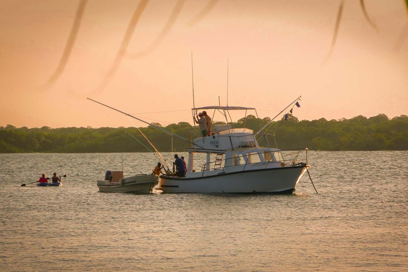 Fishing trip