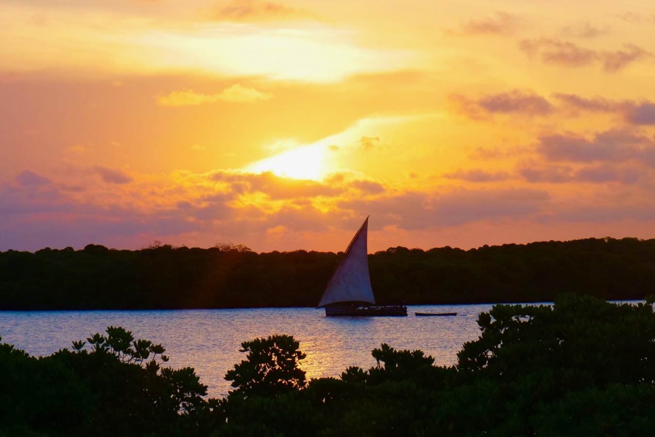 Dhow at sunset