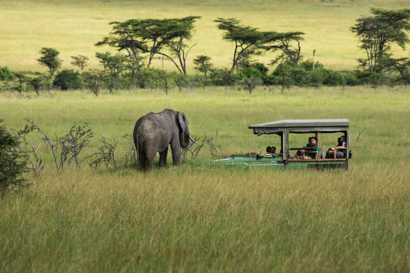 Game drive 