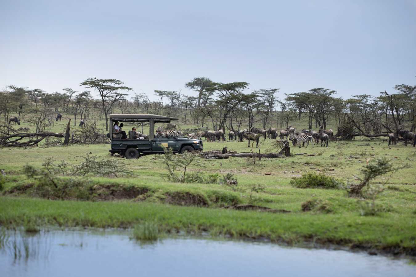 Game drives