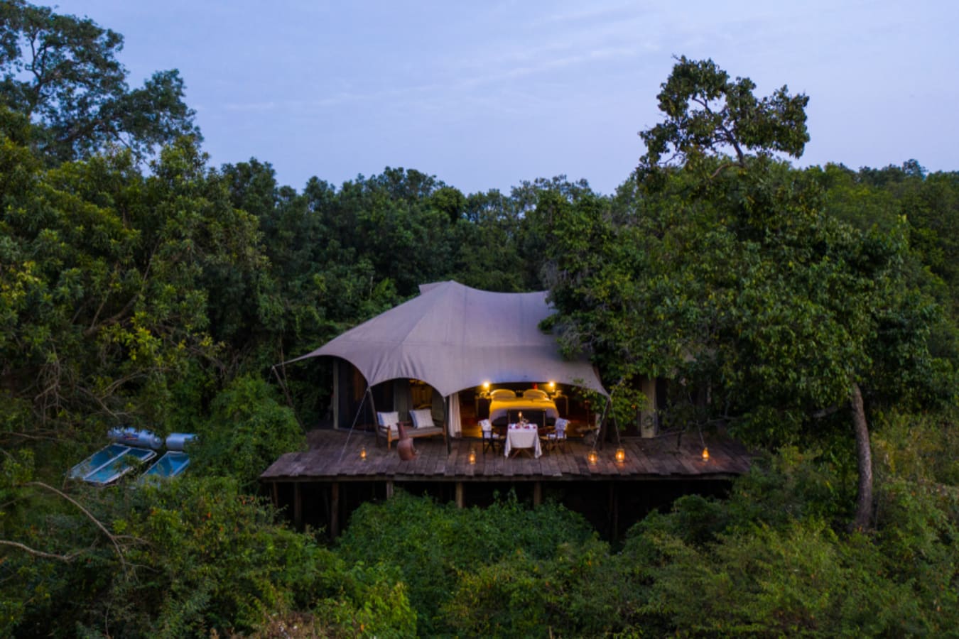Room in trees