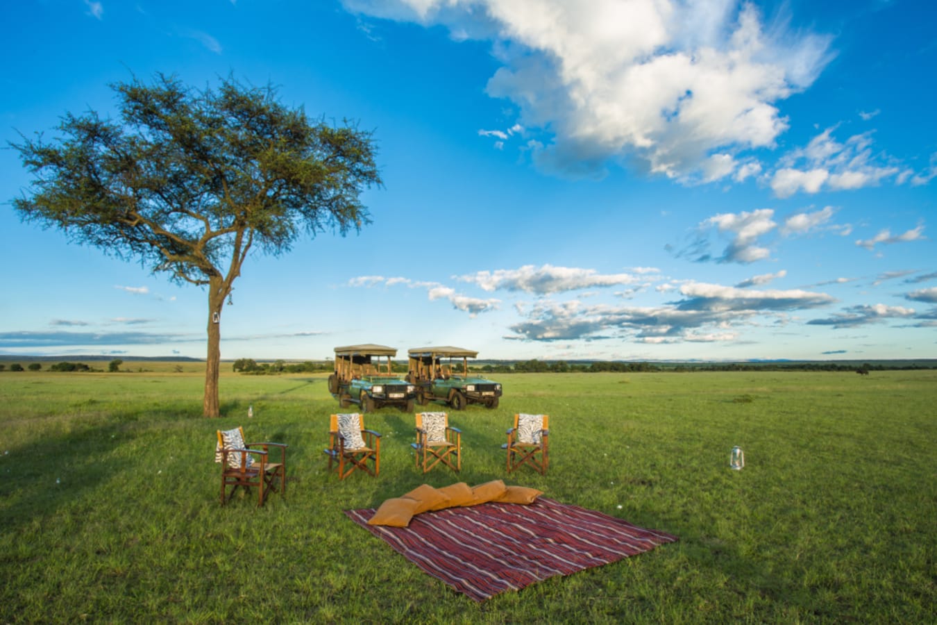 Picnic spot
