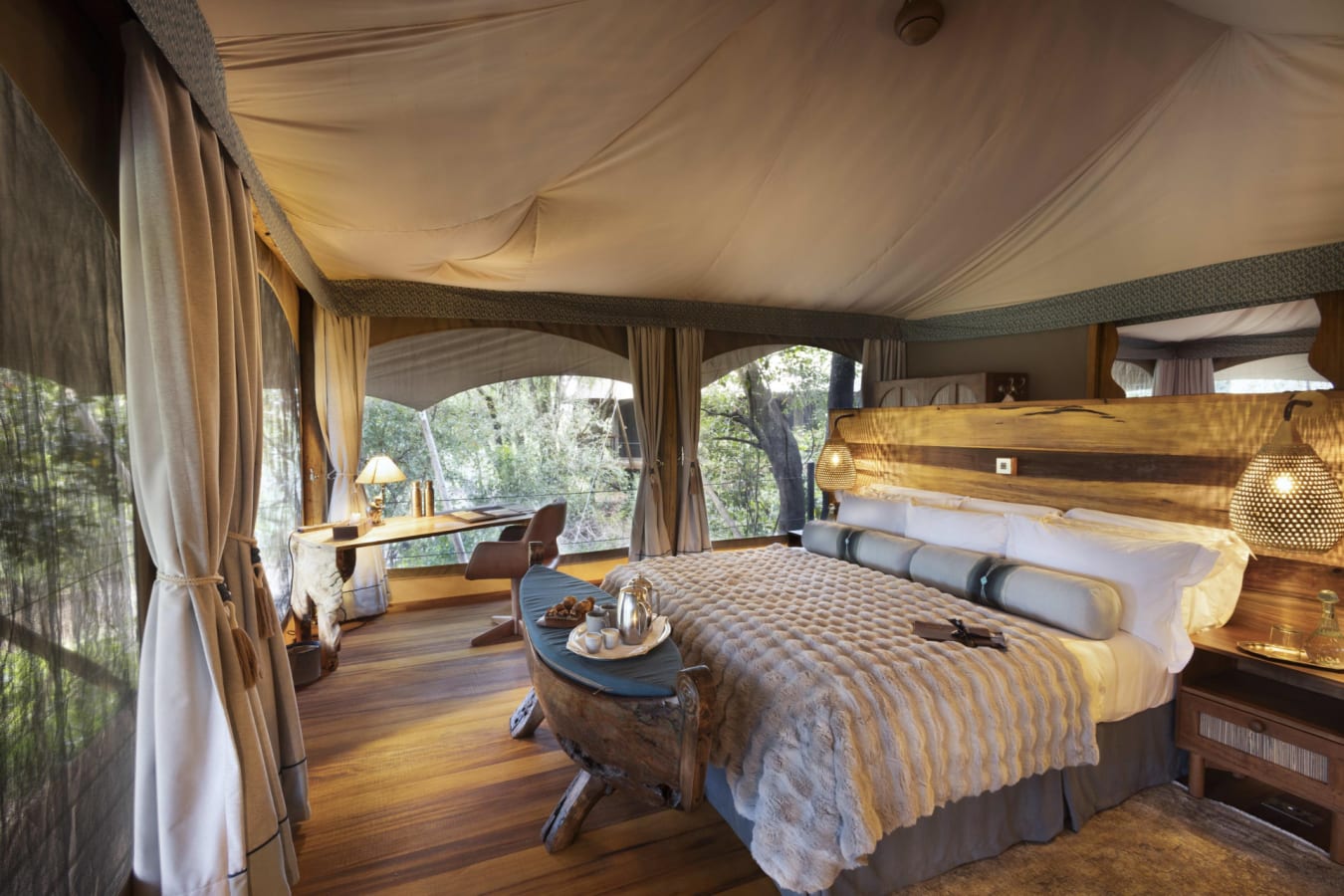 Treetop suite  