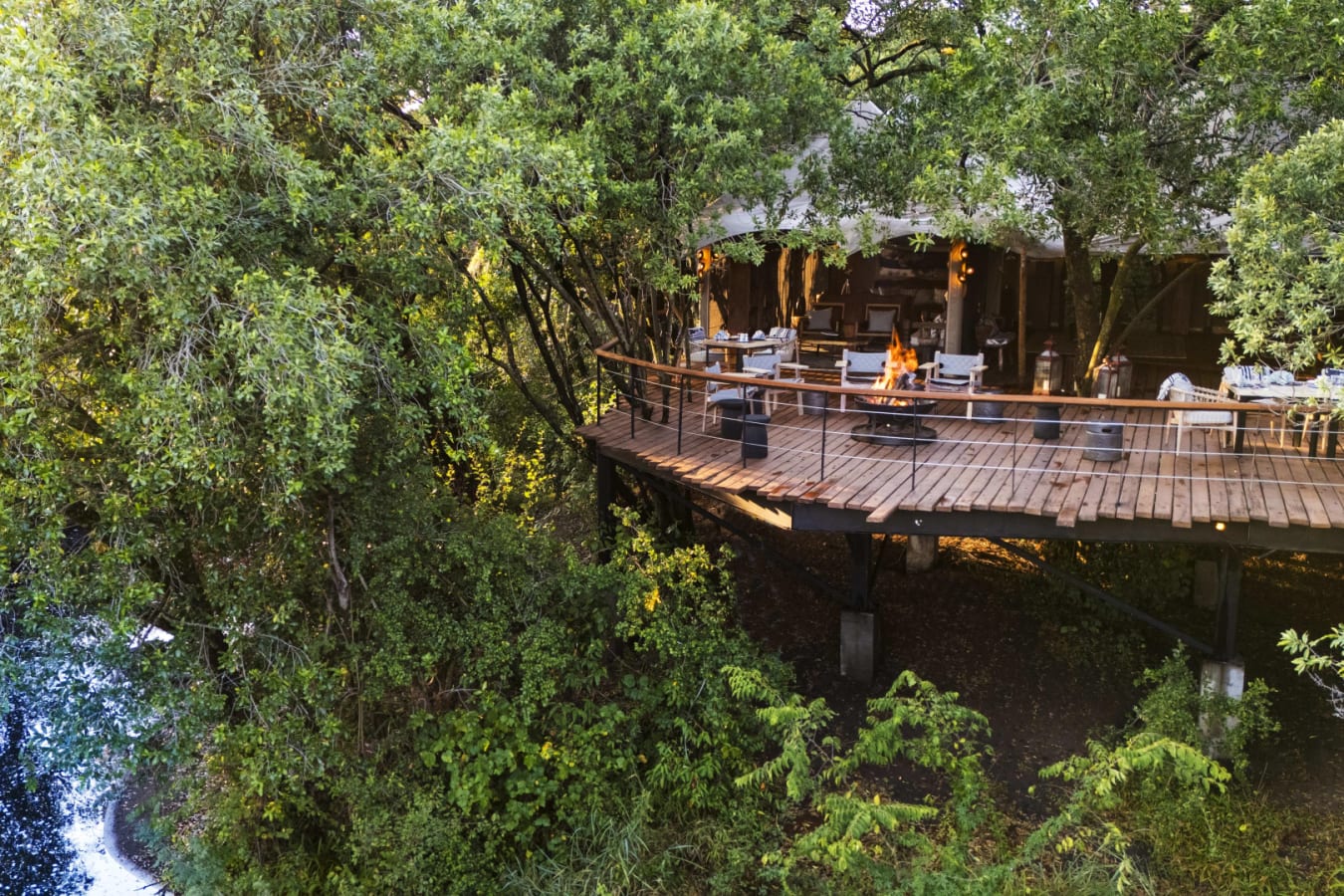 Main area in Forest canopy 