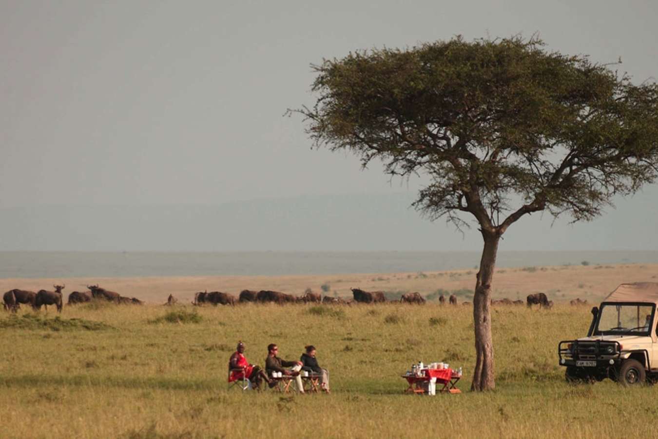 Game drive drinks - Naibor