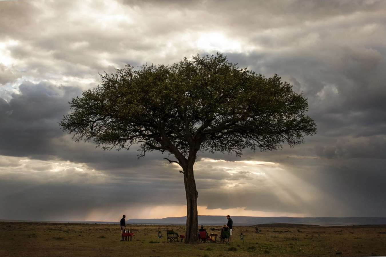 Sundowners - Offbeat Mara Camp
